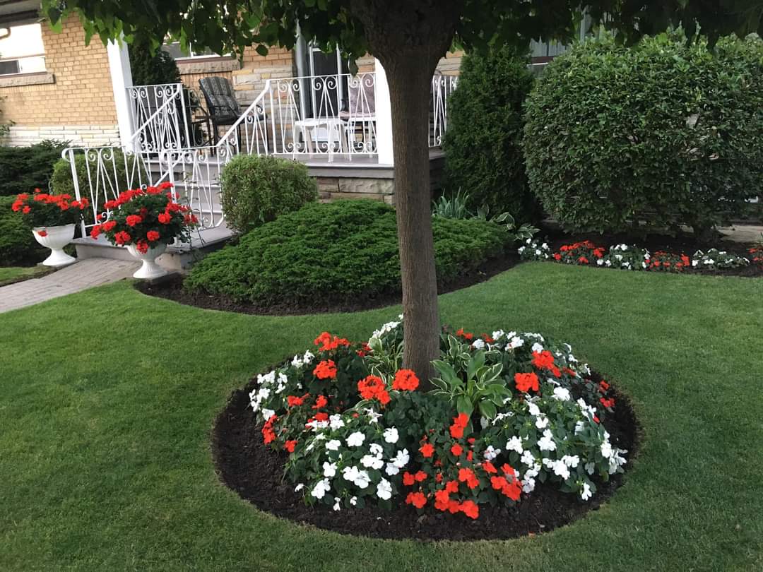 Simple Flower Bed Ideas For Front Of House