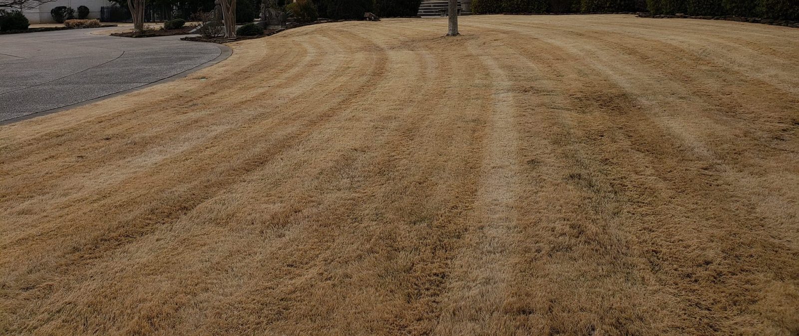 Can You Lay Sod In The Winter? Lawn Holic