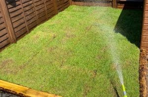 Top 9 How long to water new sod 2 How Often To Water New Sod?