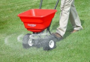 Can You Walk On Grass After Fertilizing?