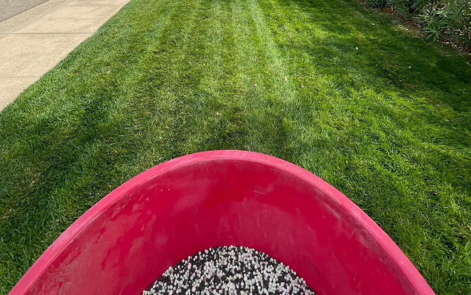 When Should You Water Your Lawn After Fertilizing