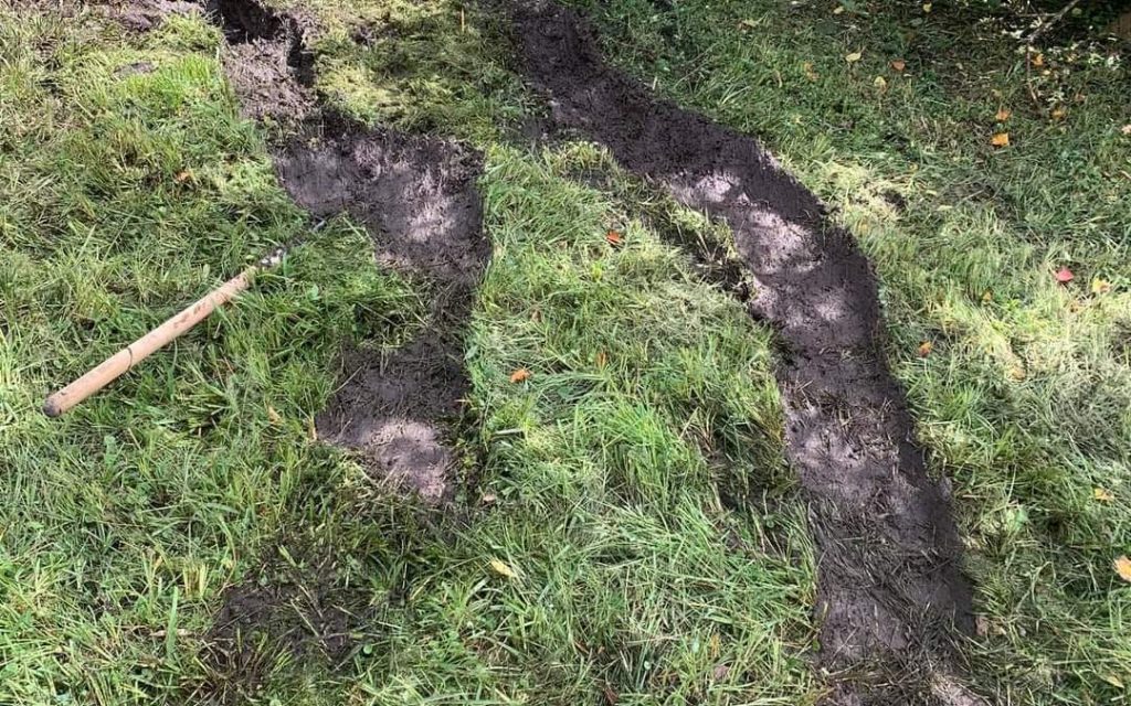 What To Do If Someone Drove On Your Lawn