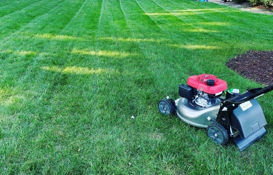 When To Mow New Sod