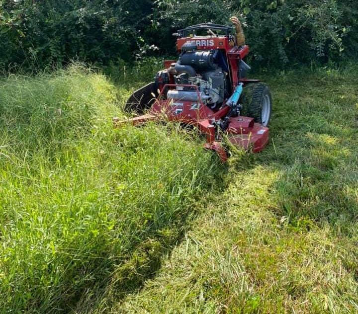 Can You Be Fined For Not Mowing Your Lawn
