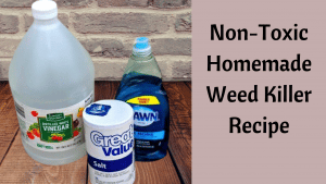 How to Make a Homemade Weed Killer (Safe for Pets)