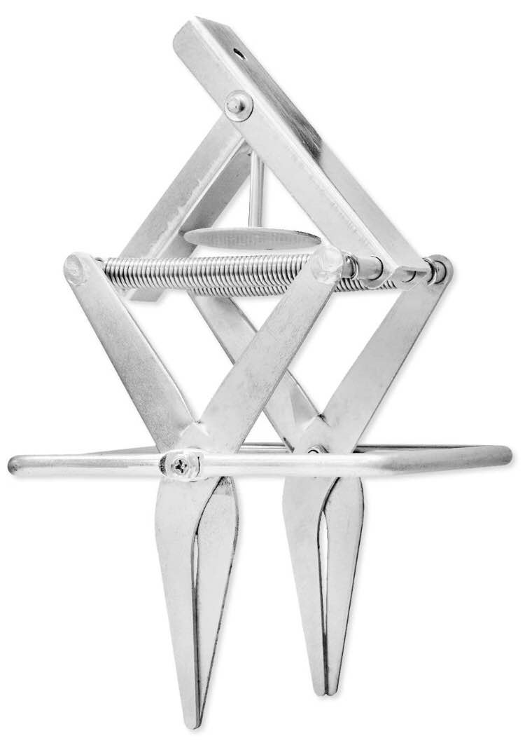 The Best Mole Traps 2023