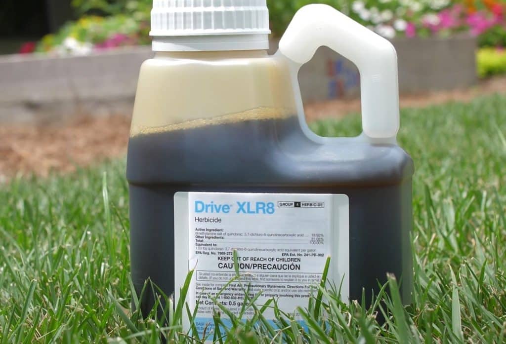 11 Best Crabgrass Killer That Won't Kill Grass 2024