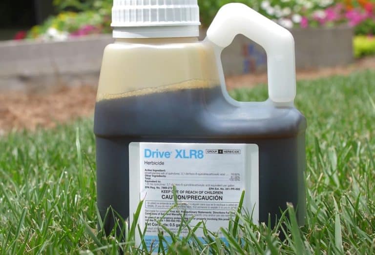 11 Best Crabgrass Killer That Won T Kill Grass 2024   BASF Drive XLR8 Crabgrass Herbicide 768x523 