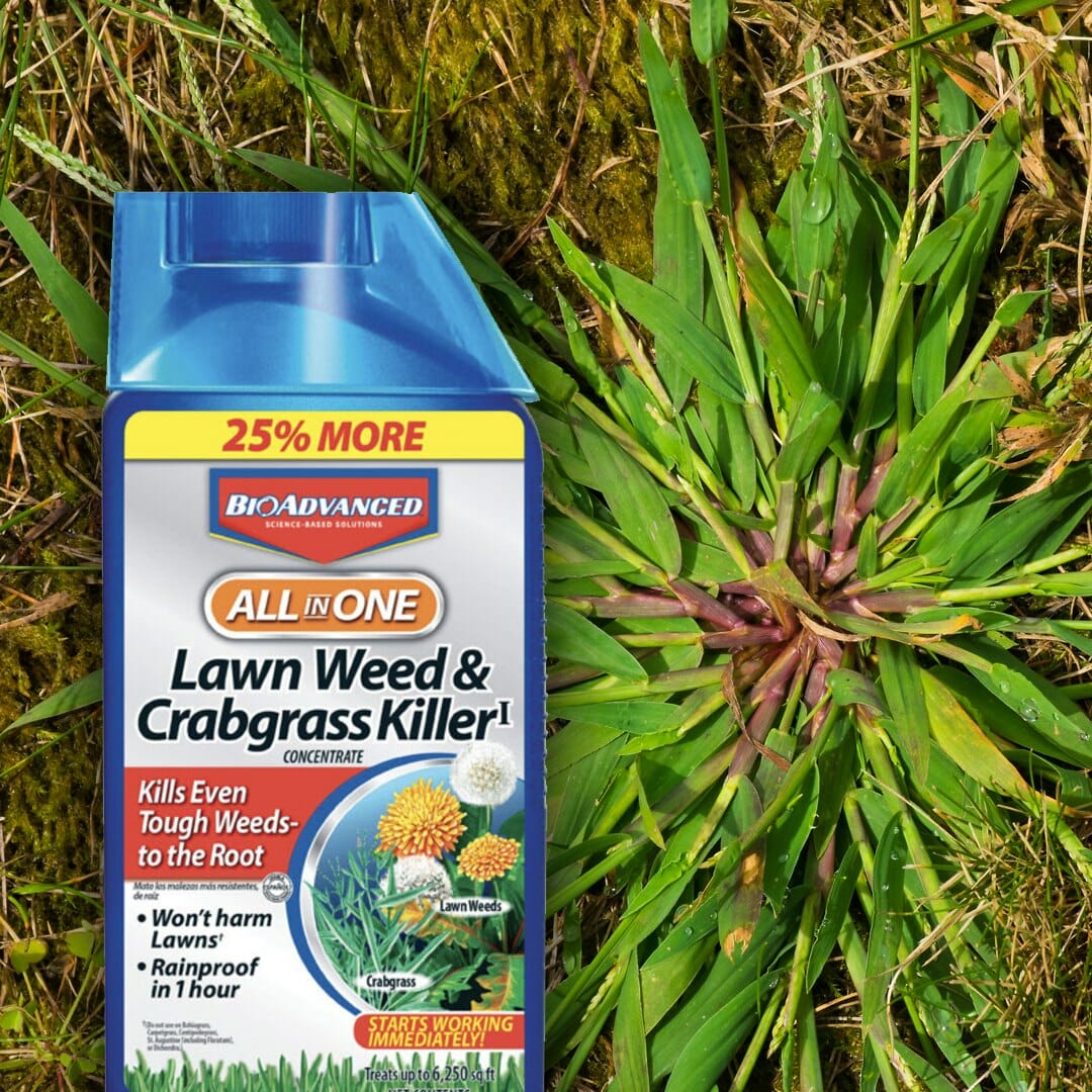 11 Best Crabgrass Killer That Won't Kill Grass 2024