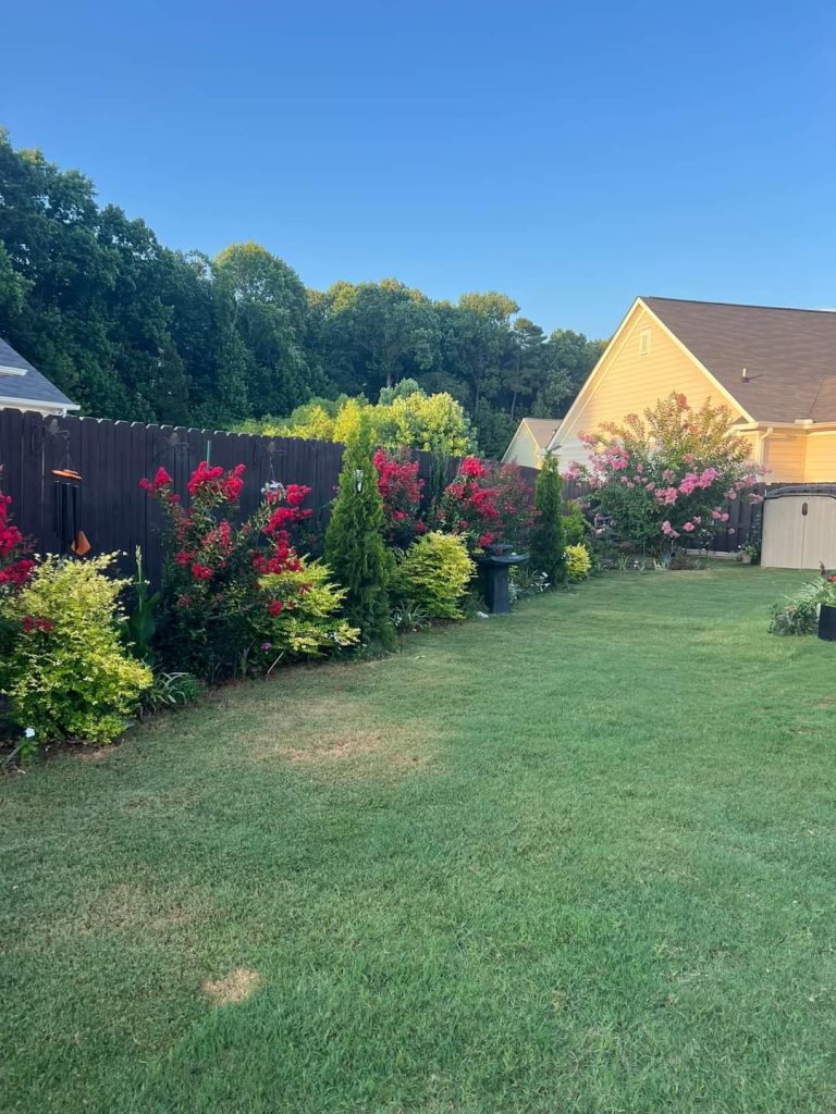 Lime for lawns {When and How to Lime Your Lawn}