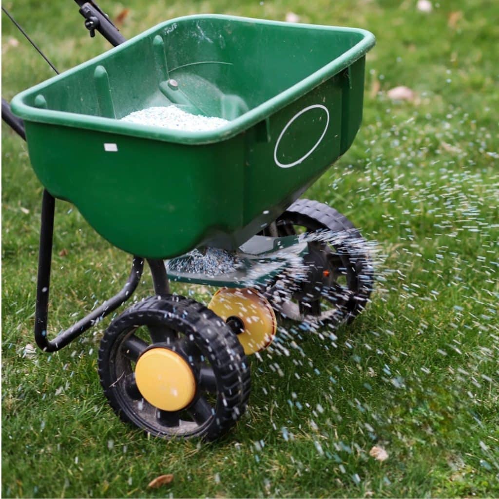 How To Get A Lush Green Lawn Naturally