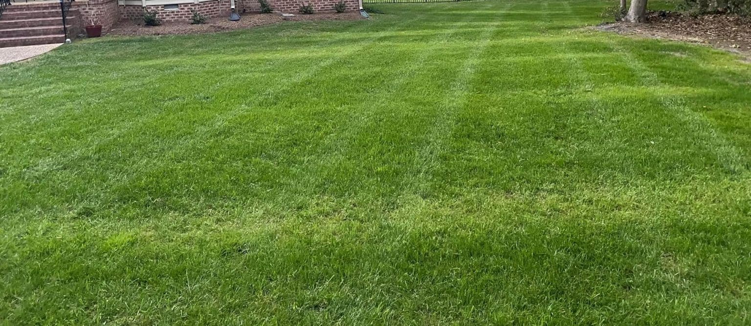 Lime for lawns {When and How to Lime Your Lawn}