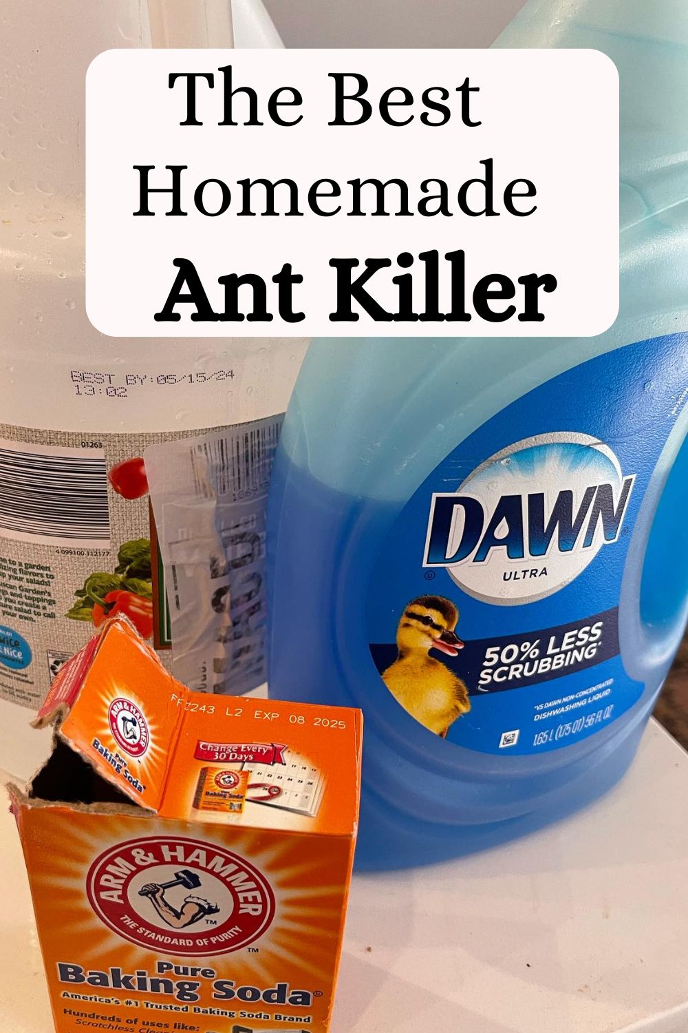 Best DIY Ant Killer