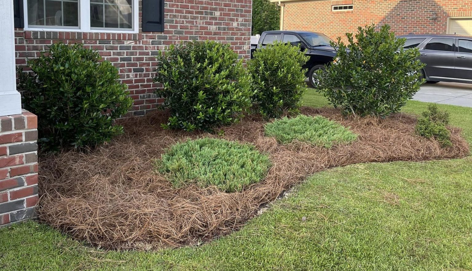 26 Best Foundation Plants For The Front Of Your House