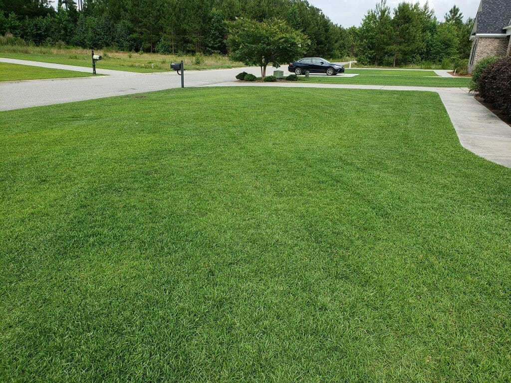 How Often Can I Apply Sulfur To My Lawn?