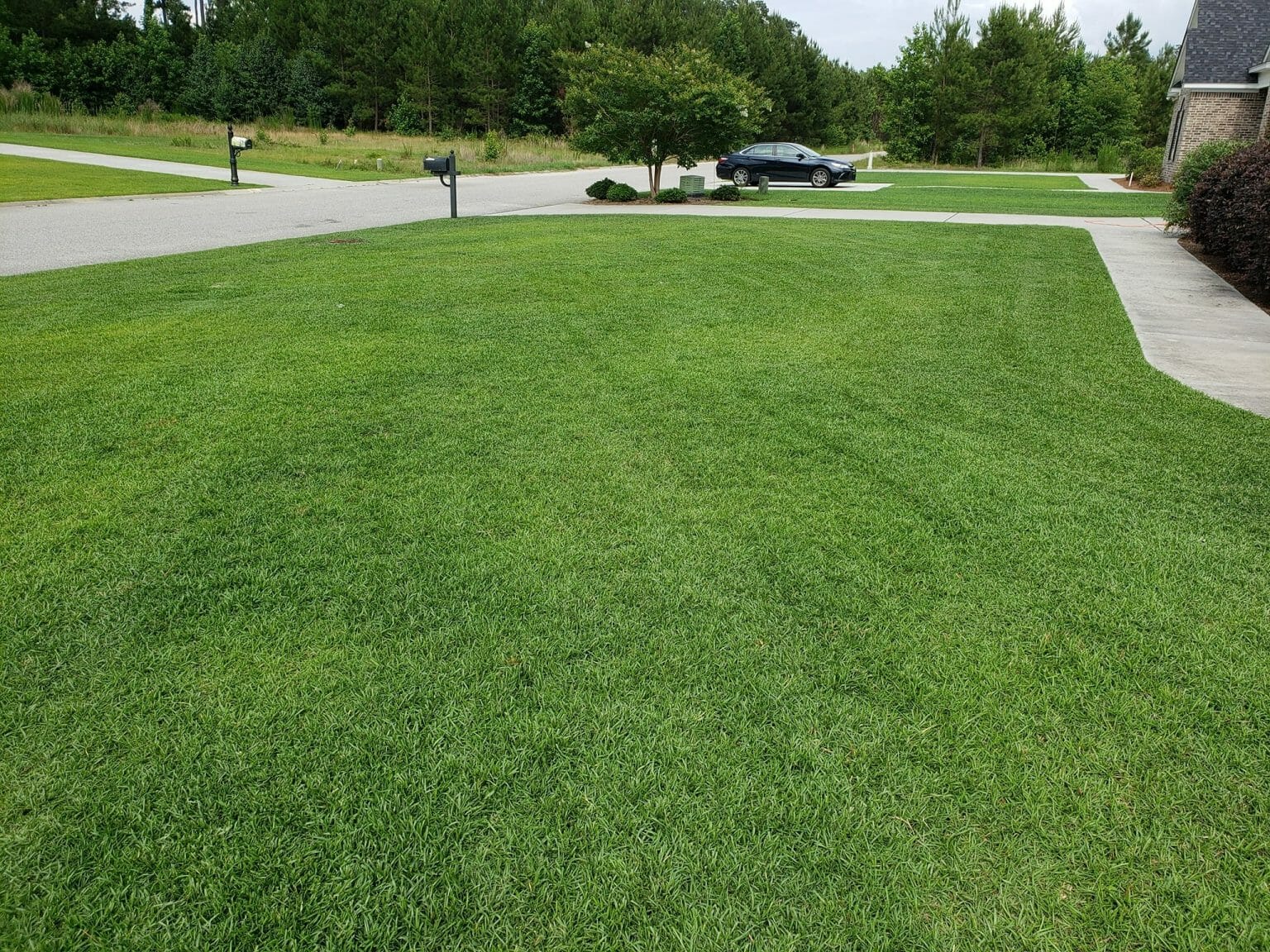 how-often-can-i-apply-sulfur-to-my-lawn