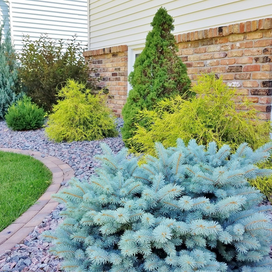 foundation planting ideas