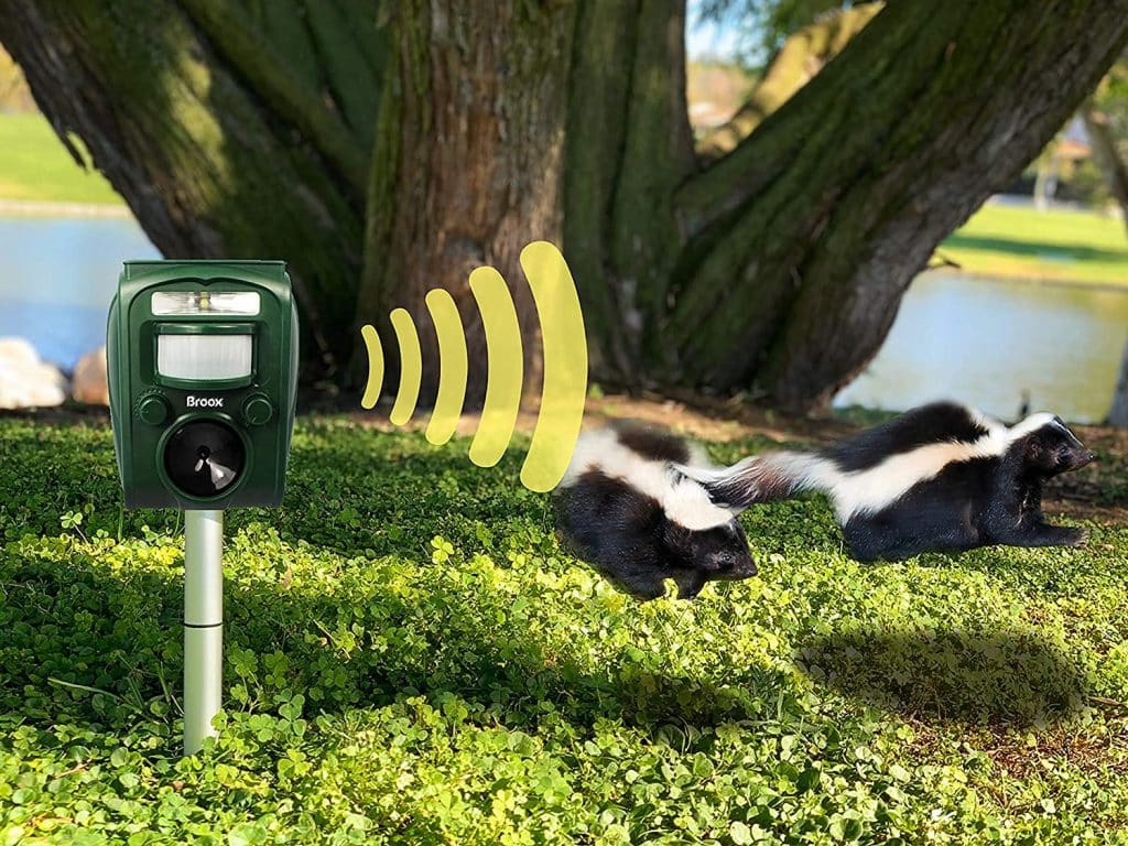 7 Best Dog Repellents for Yard