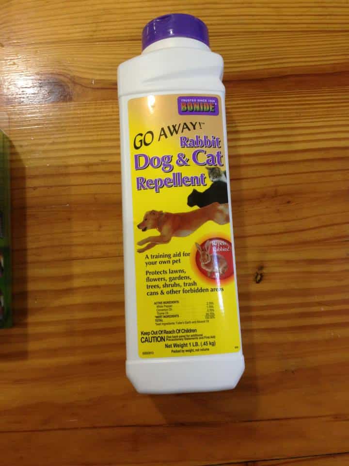 7 Best Dog Repellents for Yard