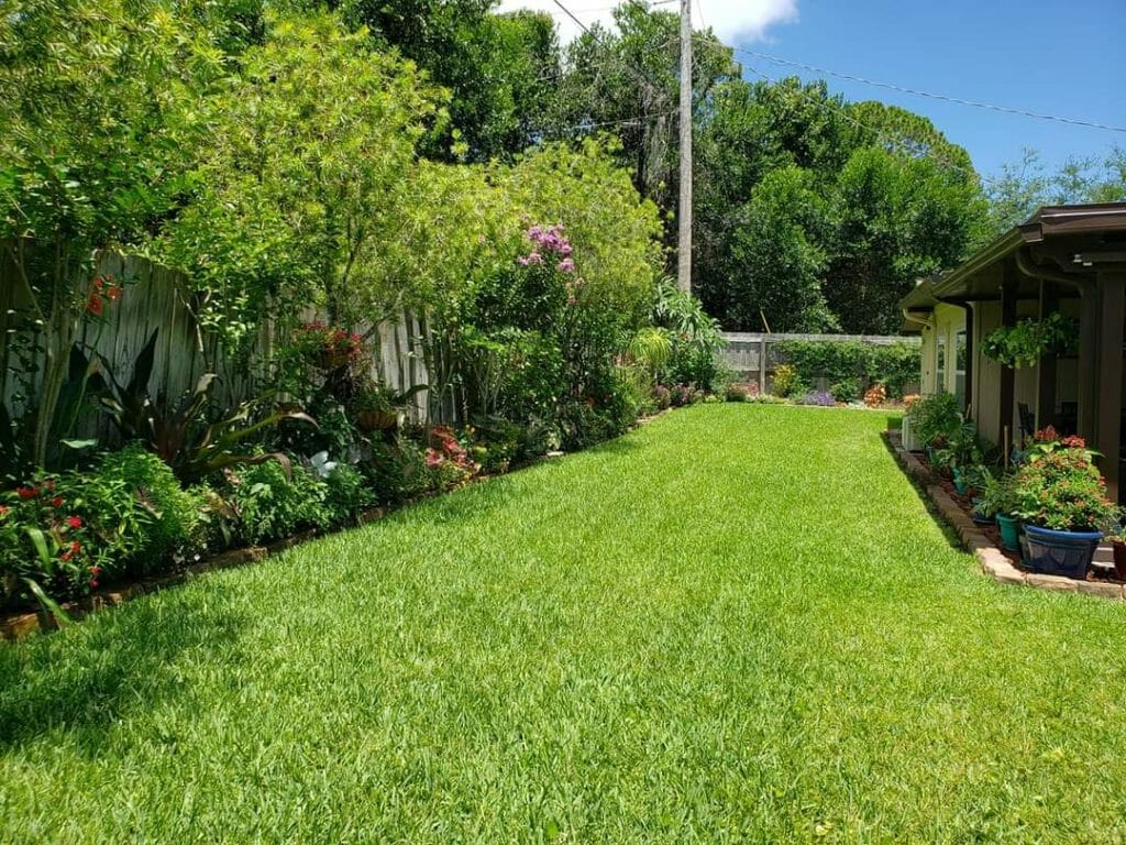 How to Grow Grass in Clay Soil