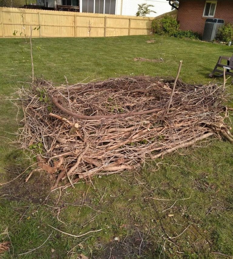 How to Get Rid of Yard Waste