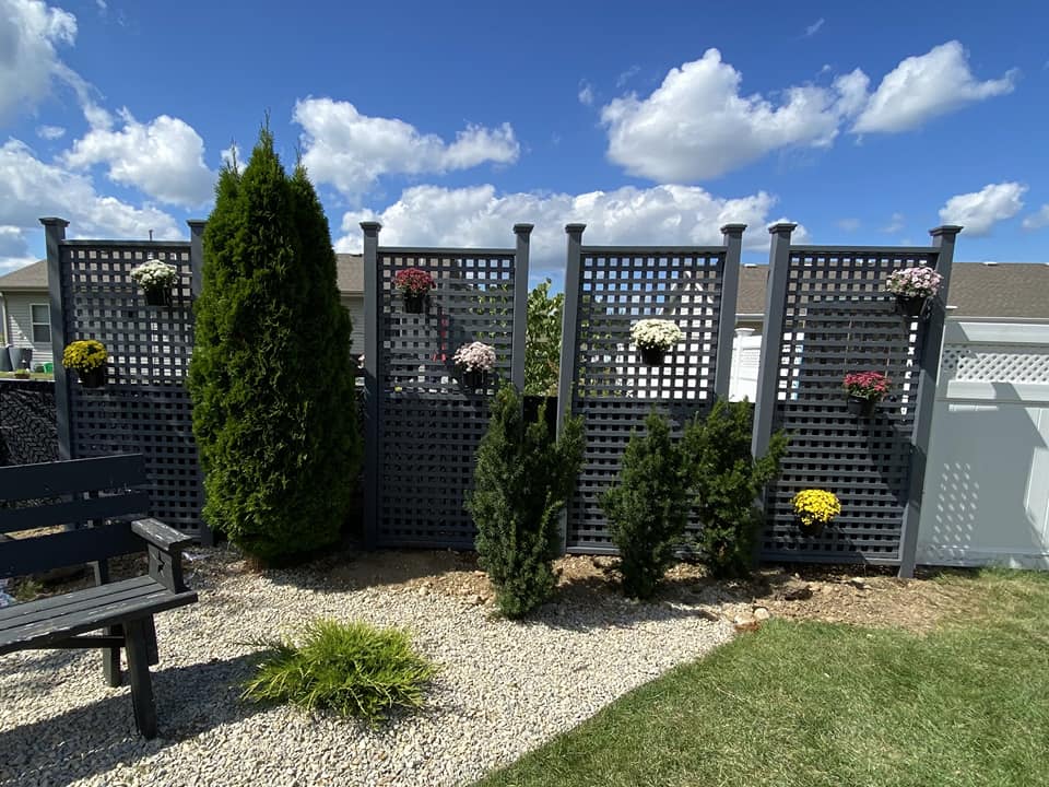 Inexpensive backyard privacy ideas