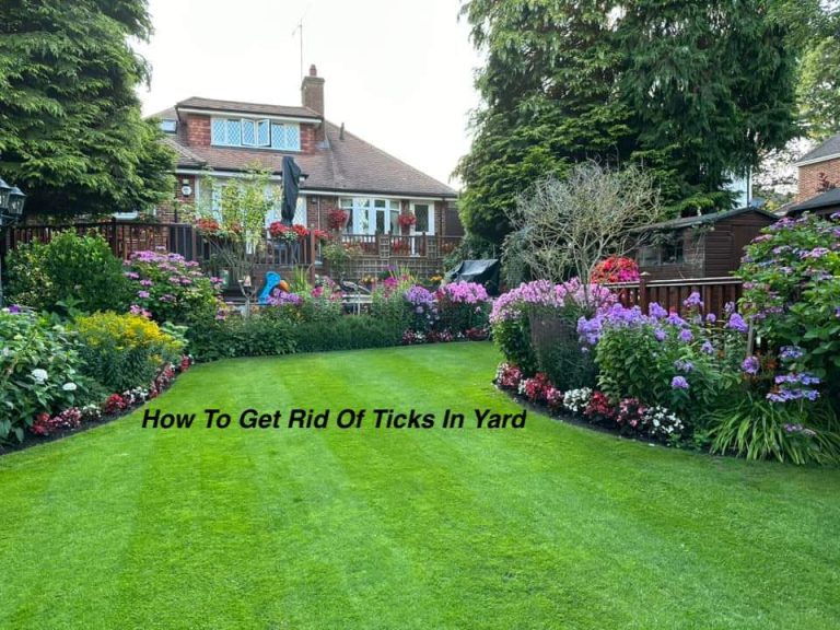 how-to-get-rid-of-ticks-in-your-yard