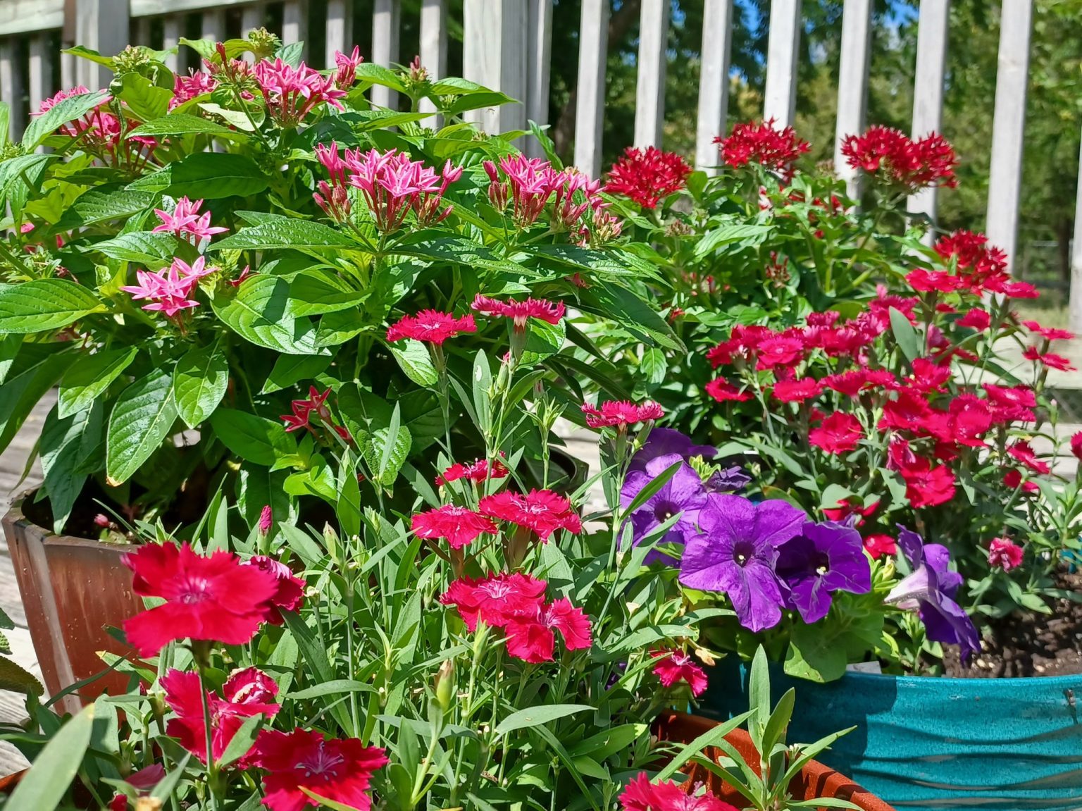 How To Keep Weeds Out Of Flower Beds Naturally