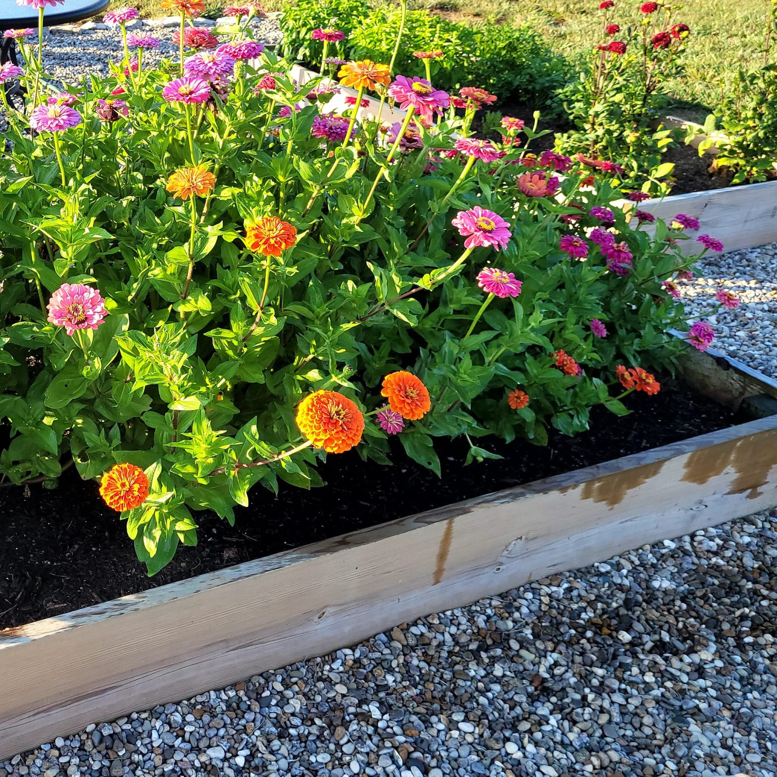 How To Keep Weeds Out Of Flower Beds Naturally