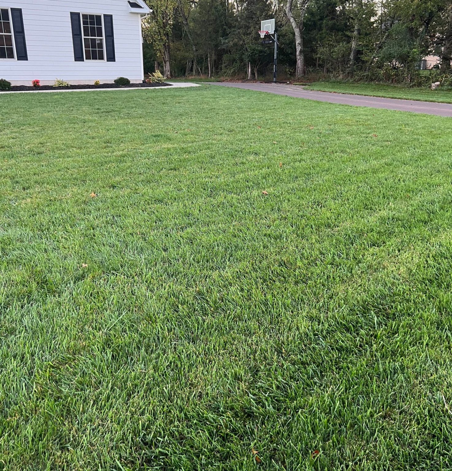 Topdressing A Lawn Benefits And How To Do It Correctly
