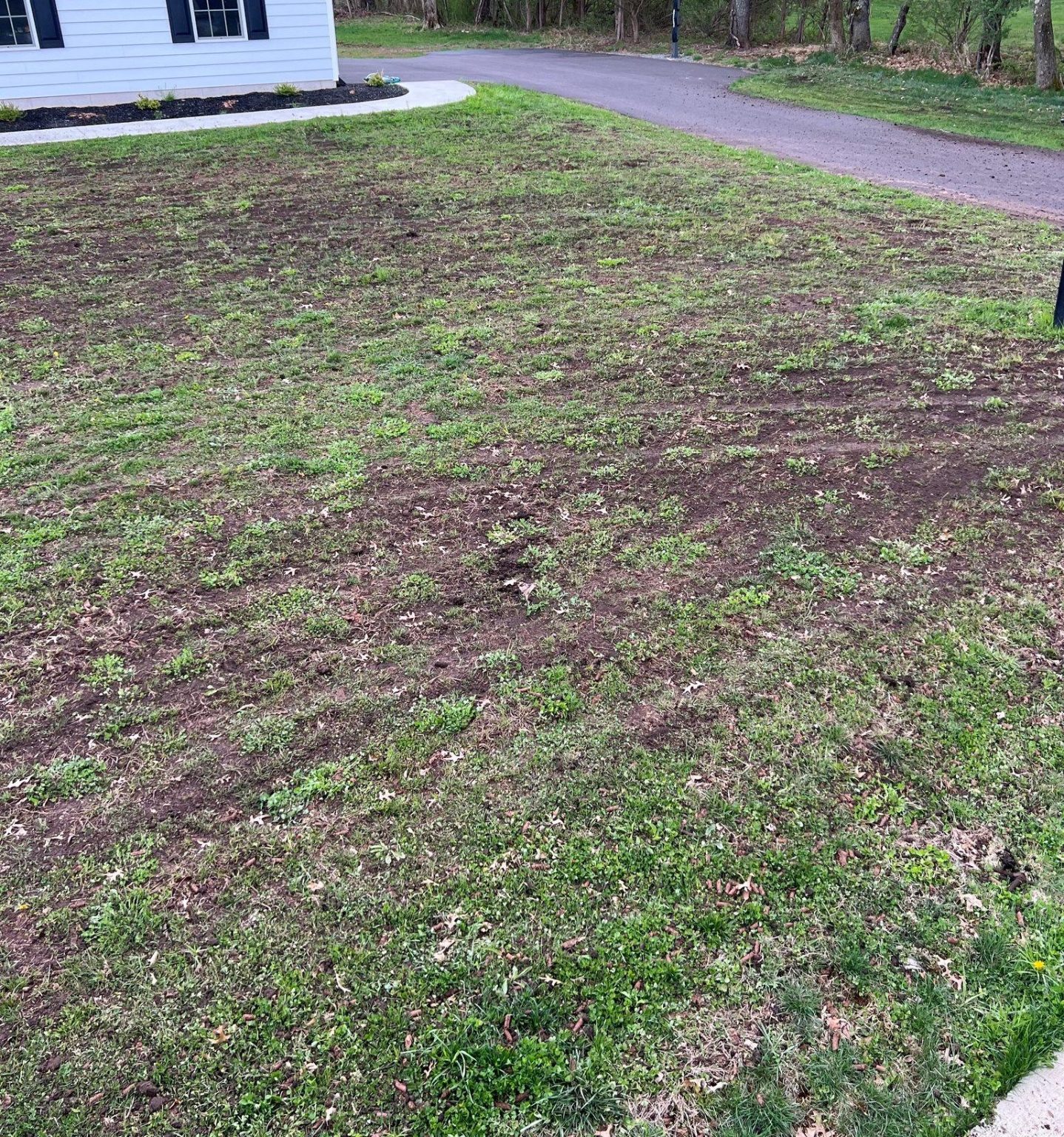 Topdressing A Lawn Benefits And How To Do It Correctly