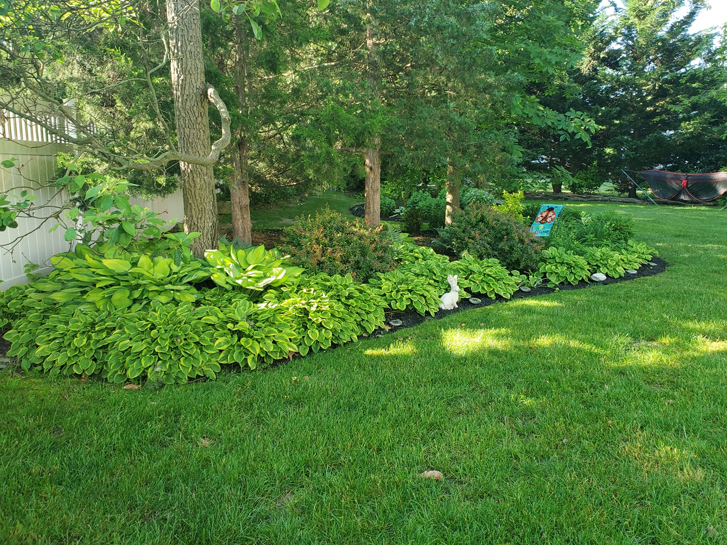 plants to grow under trees
