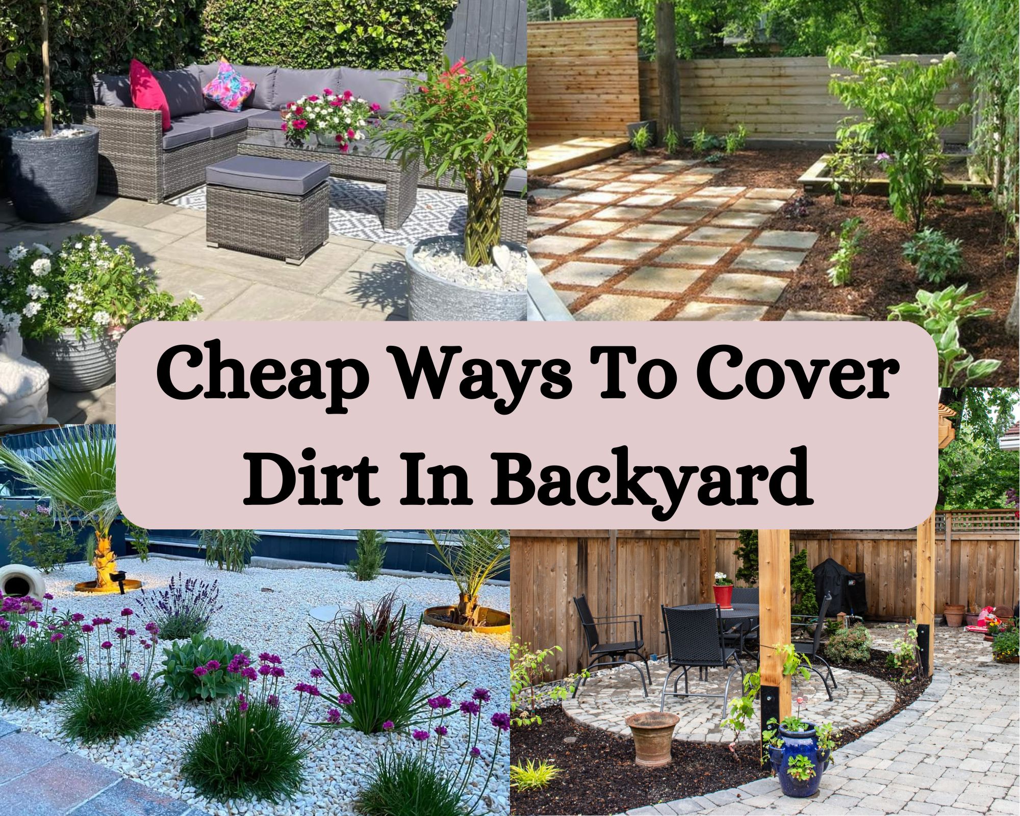 Cheap Ways To Cover Dirt In Backyard