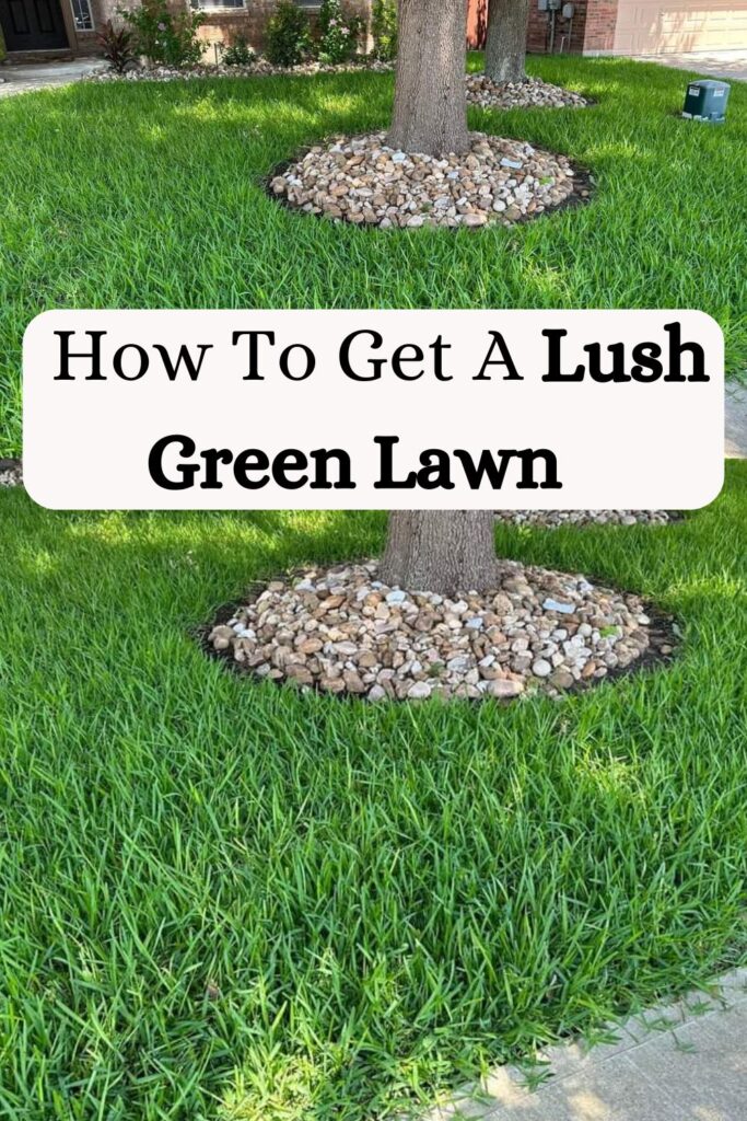 How To Get A Lush Green Lawn Naturally