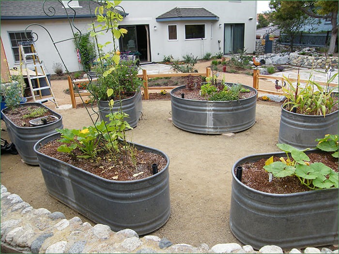Cheap Ways To Cover Dirt In Backyard