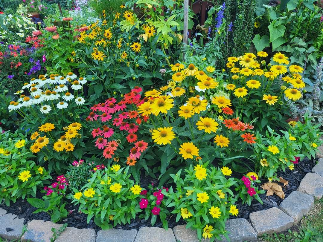How to get rid of weeds in flower beds naturally