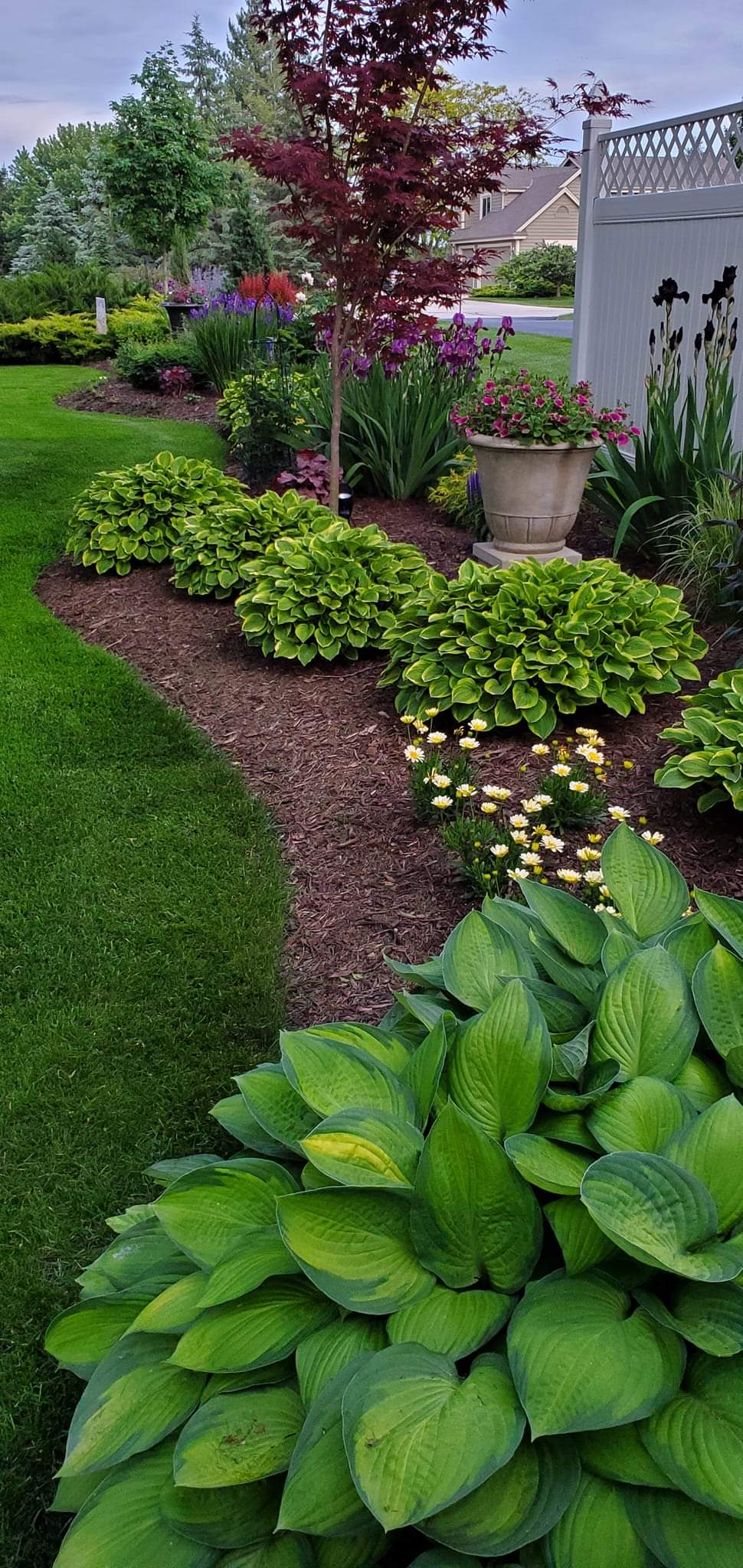 how to keep weeds out of flower beds 