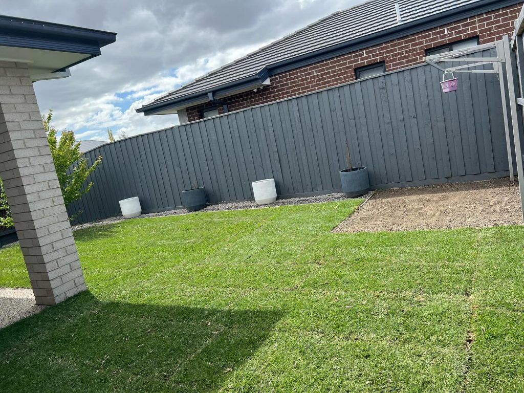 9 Cheap Ways To Cover Dirt In Backyard