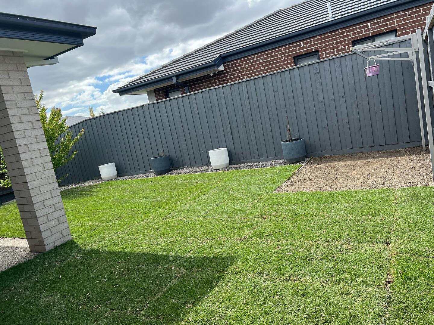 cheap way to cover dirt in backyard with dogs
