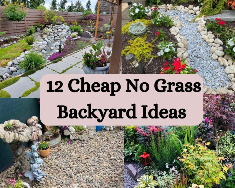 13 Cheap No Grass Backyard Ideas