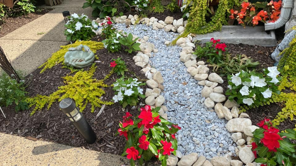 Cheap no grass backyard ideas for dogs