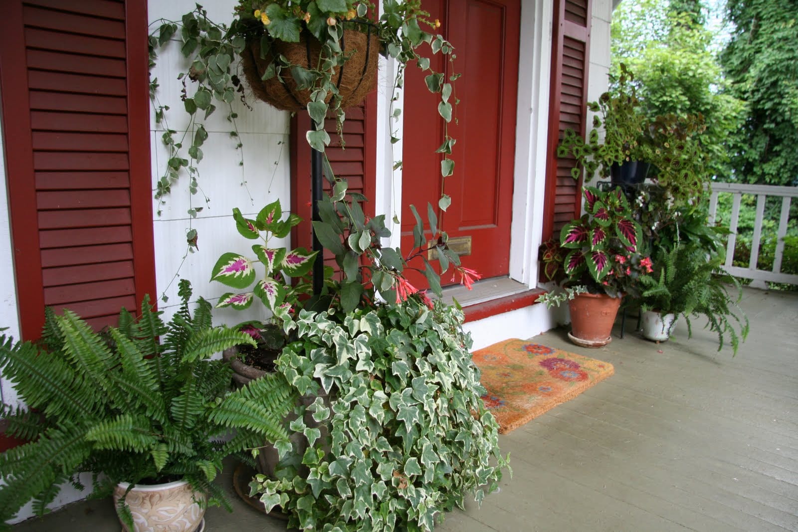 Best Potted Plants For Full Sun Porches