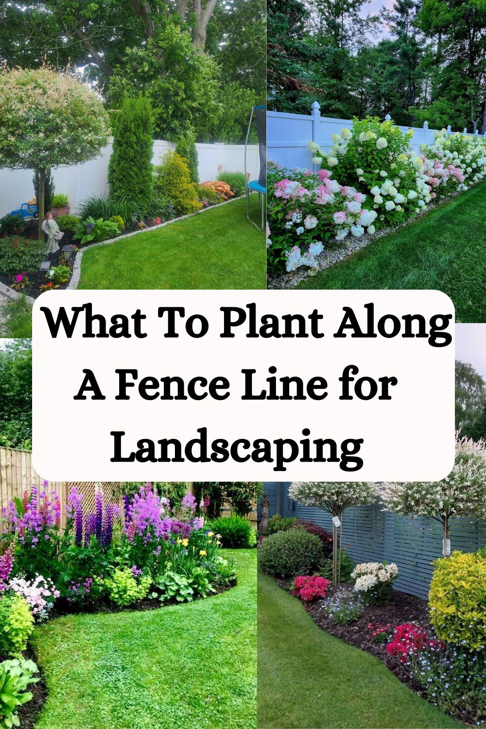 What To Plant Along A Fence Line for Landscaping