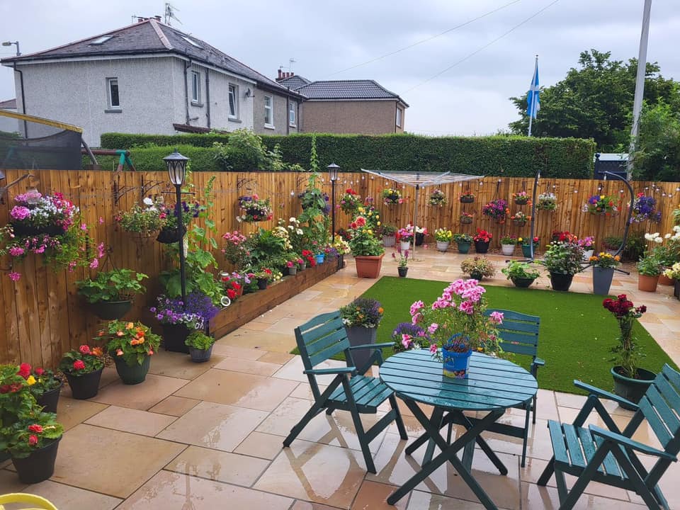 Backyard ideas no grass