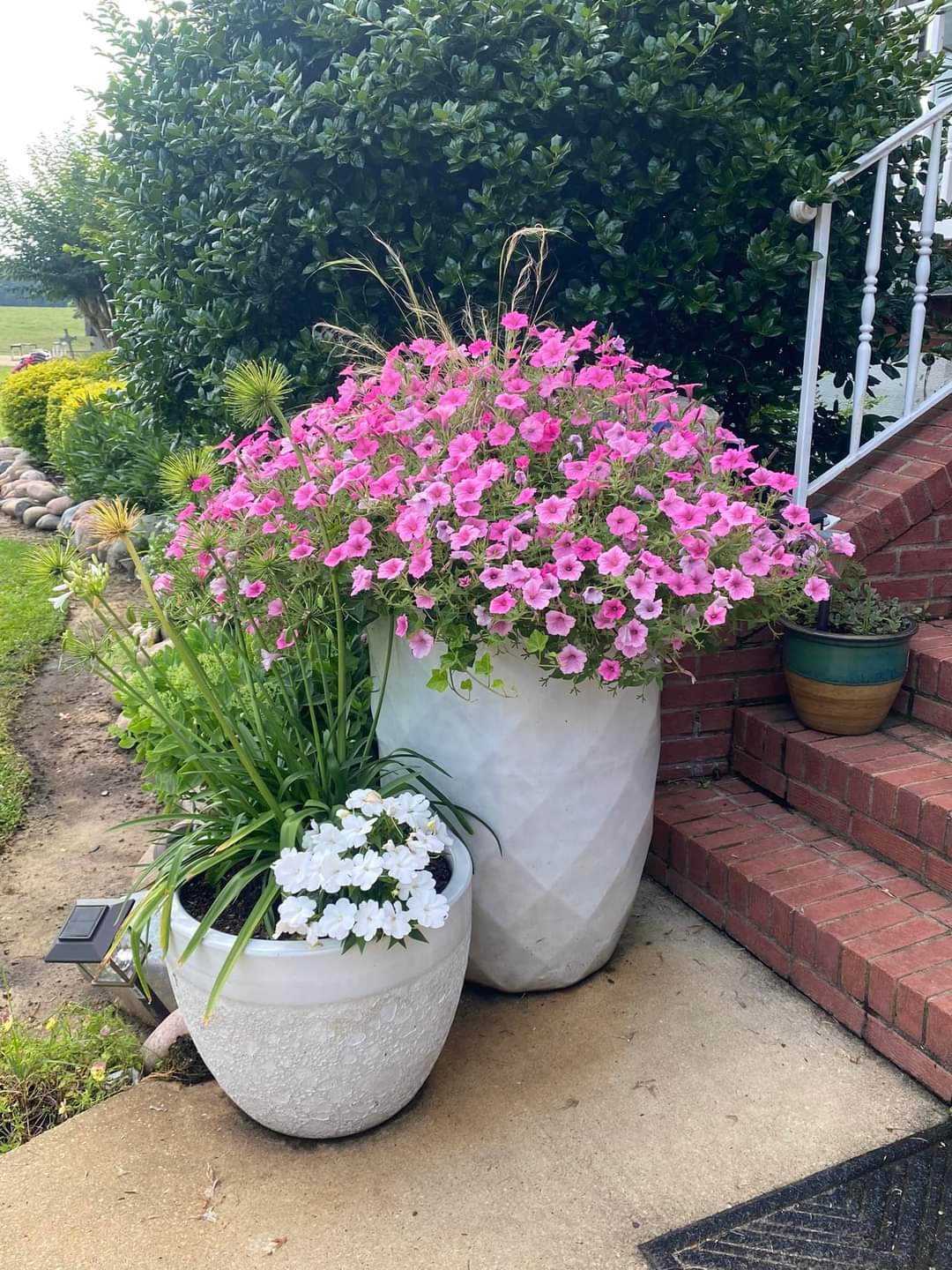 Good potted plants for front porch