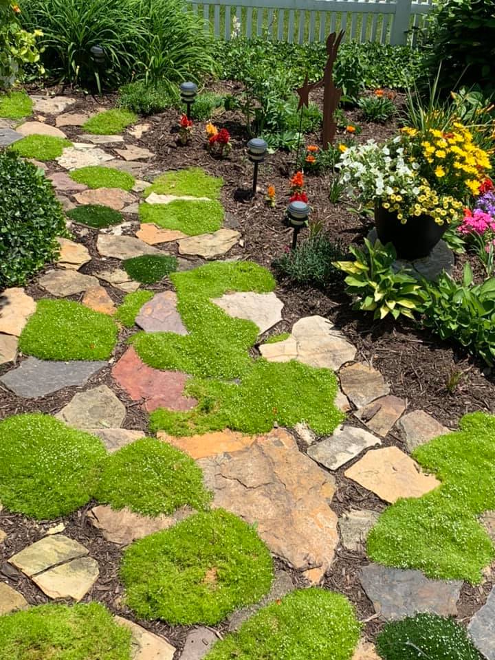 Simple Walkway Ideas On A Budget