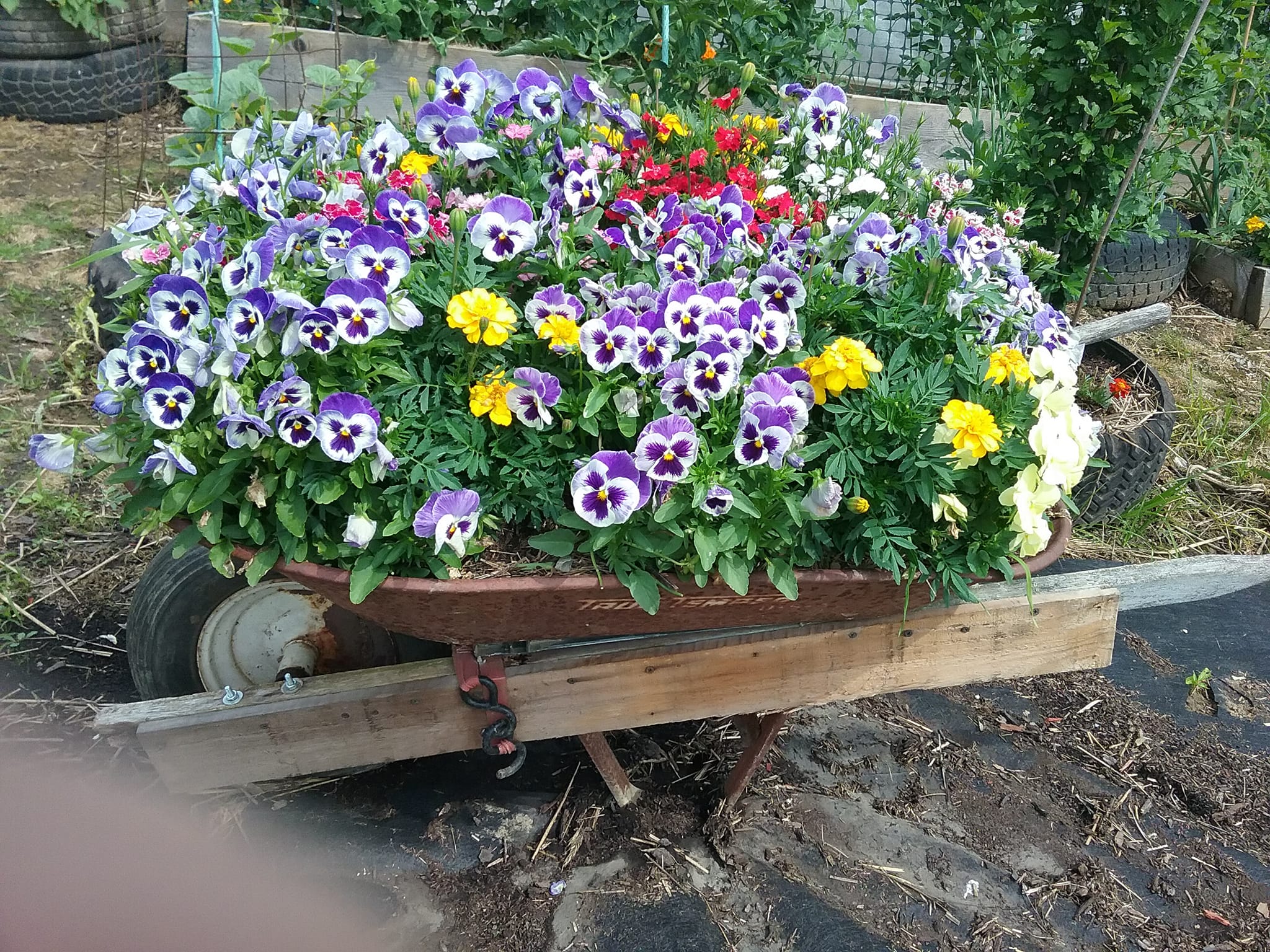 Simple flower bed ideas for front of hous