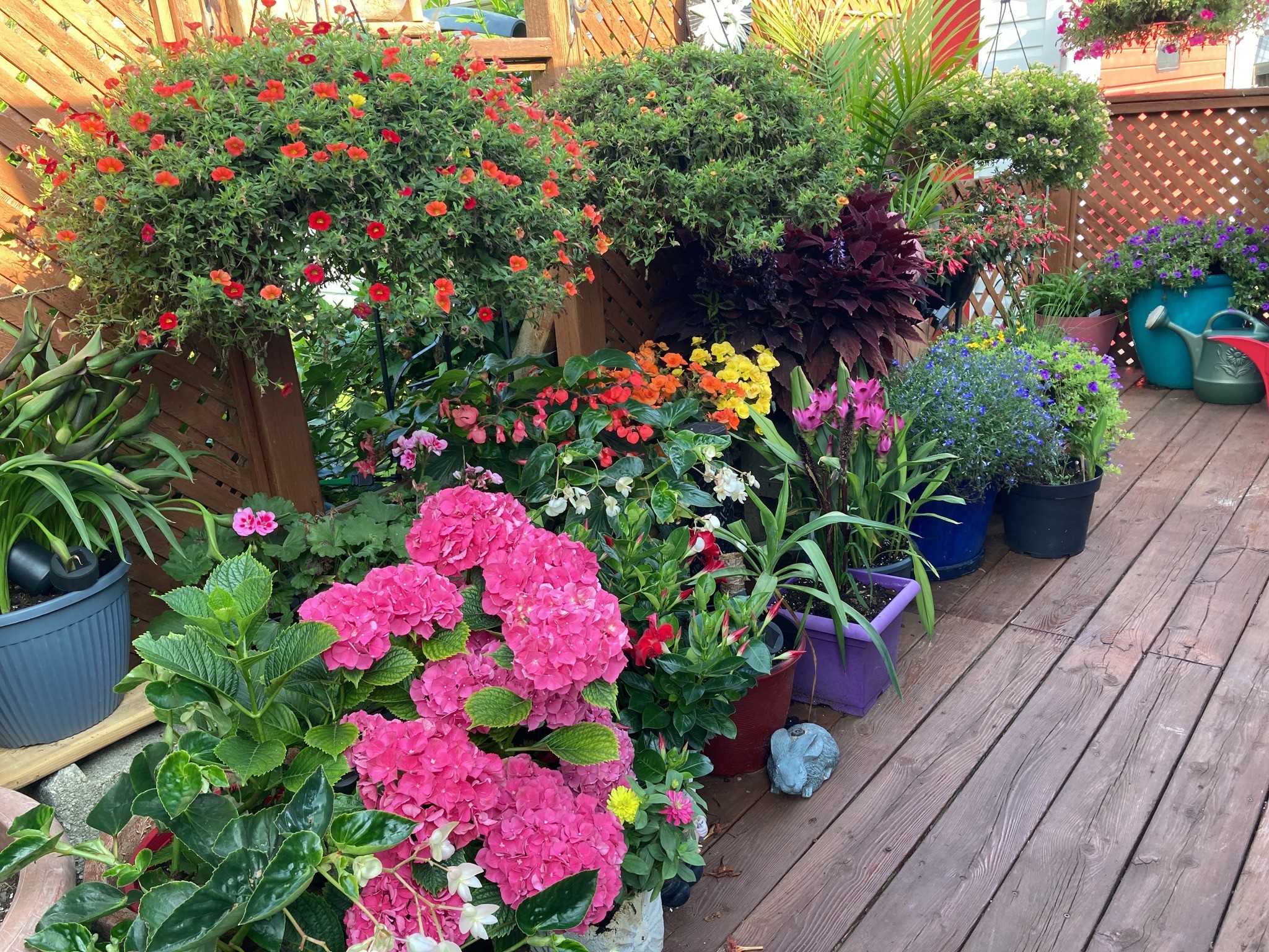 Flower bed in front of house ideas