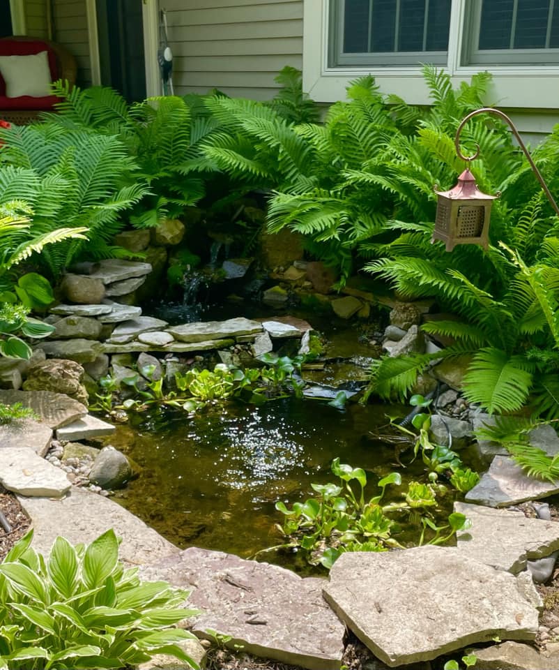 sloped backyard landscaping ideas pictures