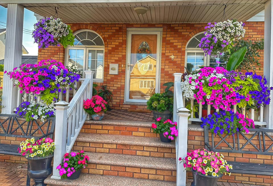 flower bed in front of house ideas